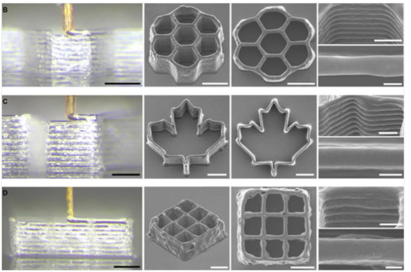3D 네크로프린팅의 공정 범위와 인쇄된 미세 구조물.ⓒ데일리포스트=이미지 제공/Science Advances