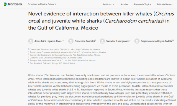 ⓒ데일리포스트=이미지 제공/Frontiers in Marine Science