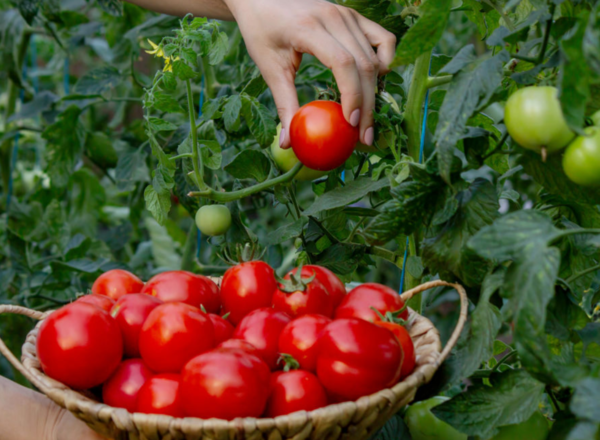 ⓒ데일리포스트=이미지 제공/Unsplash