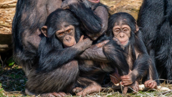 &nbsp;ⓒ데일리포스트=이미지 제공/Flickr