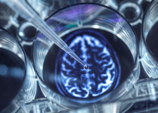 ⓒ데일리포스트=이미지 제공/Pixabay