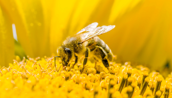ⓒ데일리포스트=이미지 제공/Unsplash