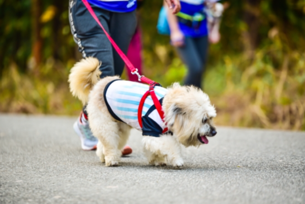 ⓒ데일리포스트=이미지 제공/Unsplash