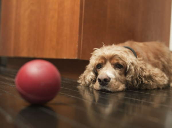 ⓒ데일리포스트=이미지 제공/Unsplash