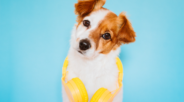 ⓒ데일리포스트=이미지 제공/Pixabay