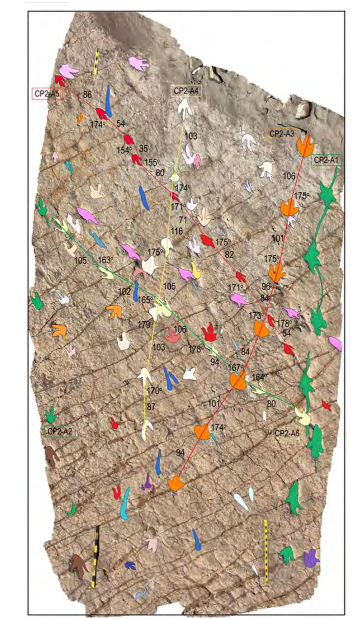 ⓒ데일리포스트=이미지 제공/PLOS One