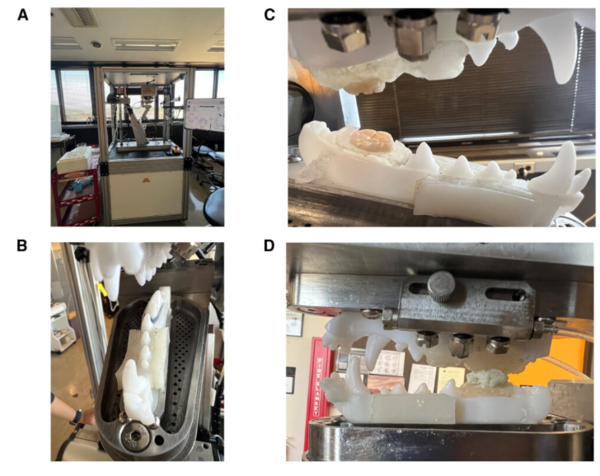 ⓒ데일리포스트=이미지 제공/Molecular Therapy