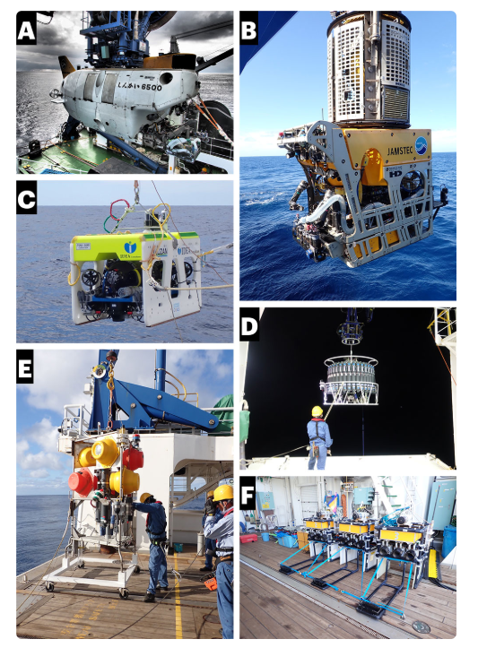 ⓒ데일리포스트=이미지 제공/Journal of Marine Biology