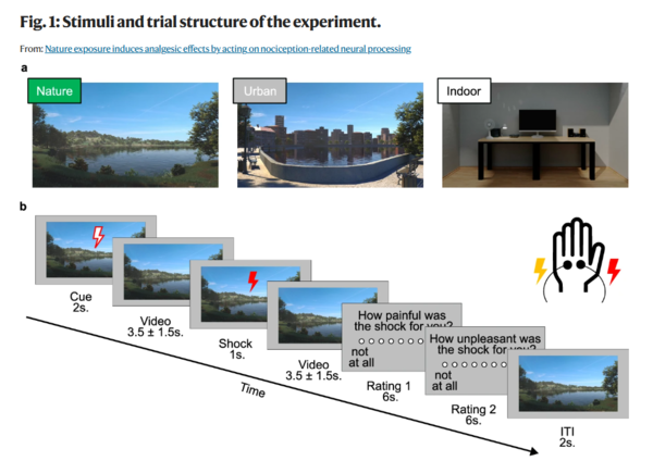ⓒ데일리포스트=이미지 제공/Nature Communications
