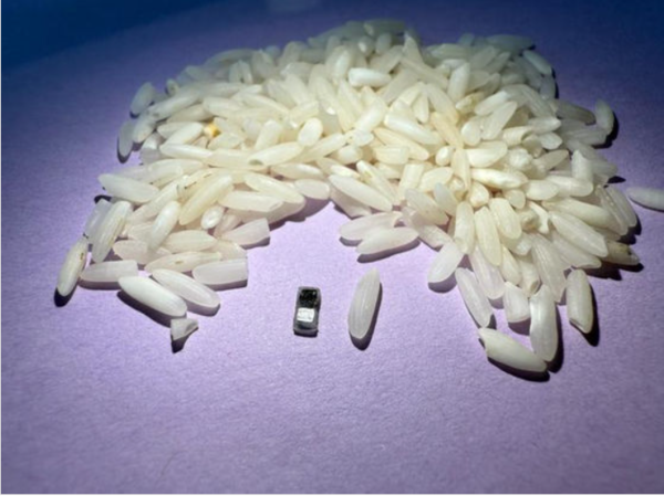 ⓒ데일리포스트=이미지 제공/노스웨스턴대&nbsp;