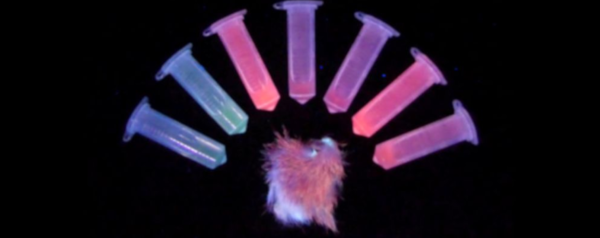 ⓒ데일리포스트=이미지 제공/PLOS One