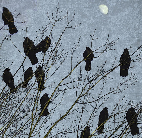 ⓒ데일리포스트=이미지 제공/Unsplash&nbsp;