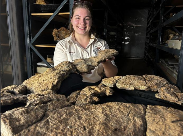 화석화된 공룡 내장 내용물&nbsp;&nbsp;ⓒ데일리포스트=이미지 제공/Stephen Poropat