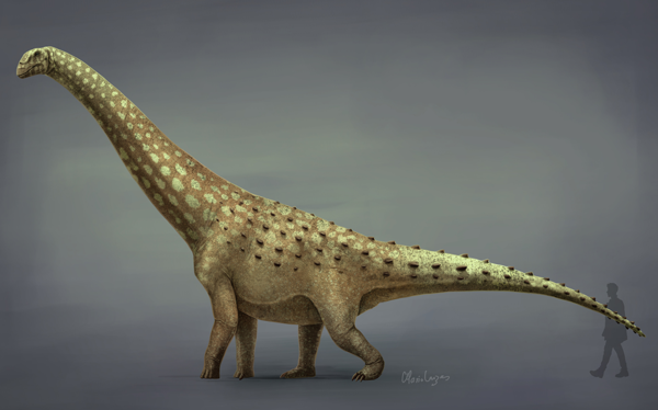 디아만티나사우루스 ⓒ데일리포스트=이미지 제공/Wikimedia Commons