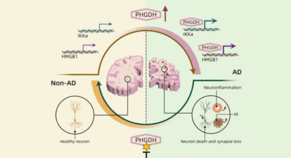 ⓒ데일리포스트=이미지 제공/Cell