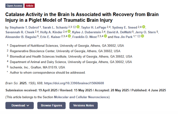 ⓒ데일리포스트=이미지 제공/Brain Sciences