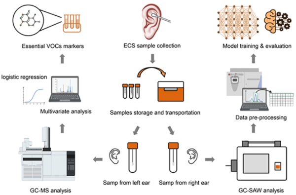 중국 저장대 연구팀은 귀지에서 특정 화합물을 식별했다. ⓒ데일리포스트=이미지 제공/Analytical Chemistry