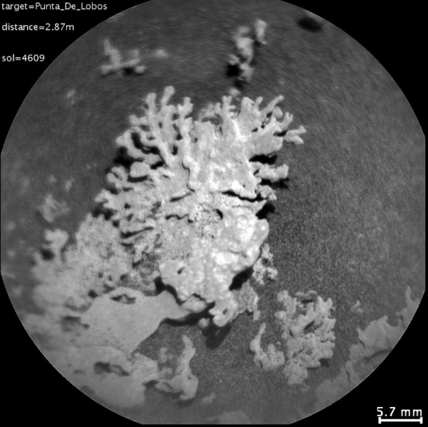 ‘Punta De Lobos’로 명명된 화성 암석 구조물 근접 사진&nbsp;ⓒNASA/JPL-Caltech/MSSS