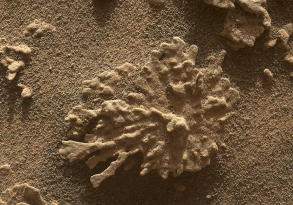 화성 게일 분화구의 산호초 형태 암석 구조물 ⓒNASA/JPL-Caltech/MSSS
