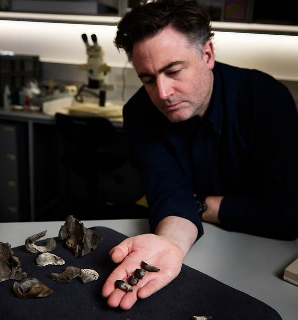 얀주케투스 둘라르디(Janjucetus dullardi)의 이빨과 두개골 일부 화석을 들고 있는 에리히 피츠제럴드 박사. ⓒ데일리포스트=이미지 제공/Museums Victoria