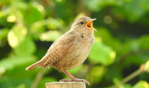 ⓒ데일리포스트=이미지 제공/Unsplash