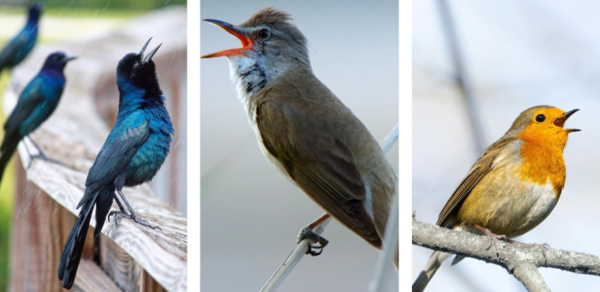 ⓒ데일리포스트=이미지 제공/Pixabay