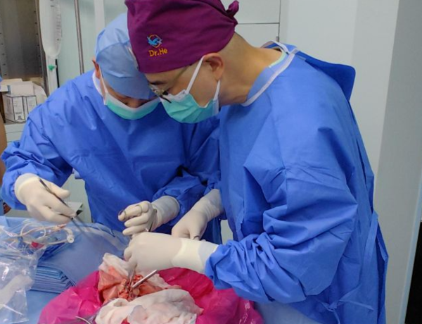 ⓒ데일리포스트=이미지 제공/Nature Medicine