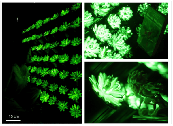 &nbsp;ⓒ데일리포스트=이미지 제공/Matter