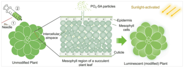 &nbsp;ⓒ데일리포스트=이미지 제공/Matter