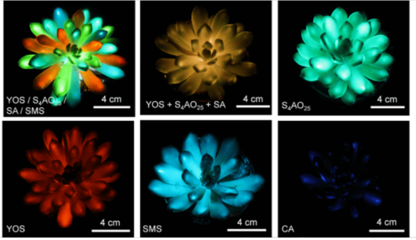 &nbsp;ⓒ데일리포스트=이미지 제공/Matter
