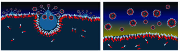 타이탄 메탄호에서 이중막 소포가 형성되는 과정을 그린 개념도. ⓒ데일리포스트=이미지 제공/NASA·뒤스부르크-에센대학교·고다드 우주비행센터