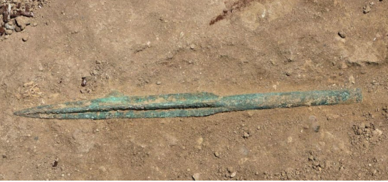 ⓒ데일리포스트=이미지 제공/AMEA