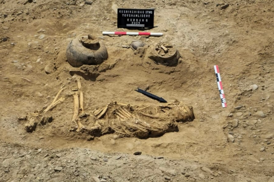 ⓒ데일리포스트=이미지 제공/AMEA