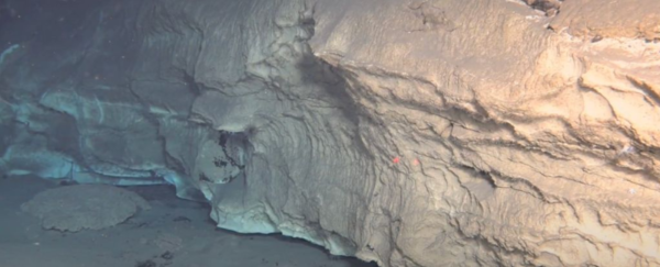 &nbsp;ⓒ데일리포스트=이미지 제공/Laoshan Laboratory