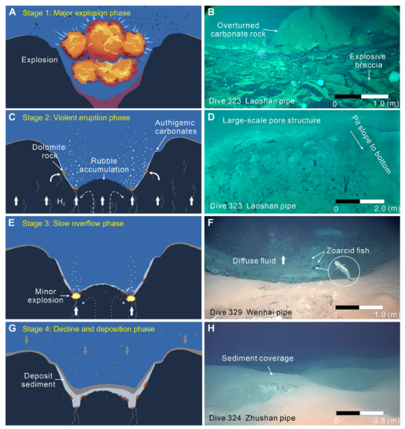&nbsp;ⓒ데일리포스트=이미지 제공/Science Advances