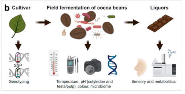 ⓒ데일리포스트=이미지 제공/Nature Microbiology