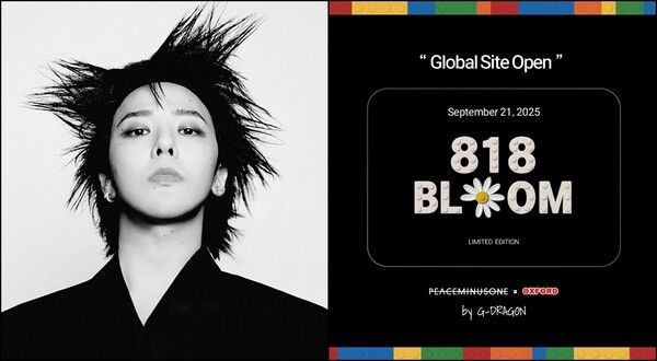 ⓒ데일리포스트=이미지 제공/ 알리익스프레스