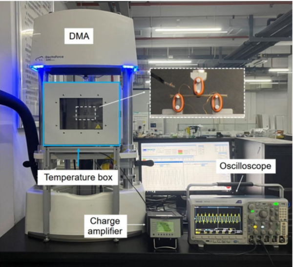 ⓒ데일리포스트=이미지 제공/Nature Physics