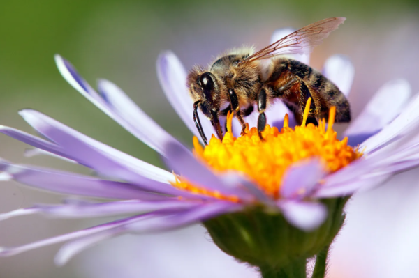ⓒ데일리포스트=이미지 제공/Unsplash