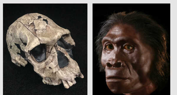 ⓒ데일리포스트=이미지 제공/McHenry County College(MCC)