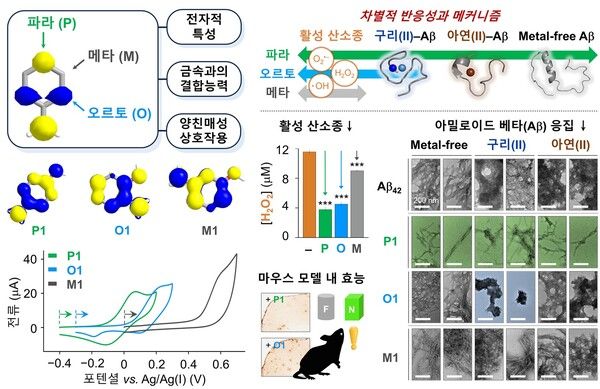 저분자 화합물의 위치 이성질체에 따른 알츠하이머병의 다중 발병