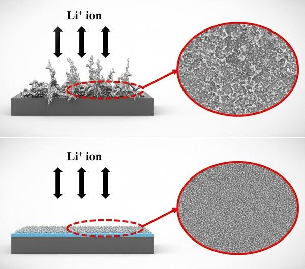 ⓒ데일리포스트=이미지 제공/ 아이엘(IPR)