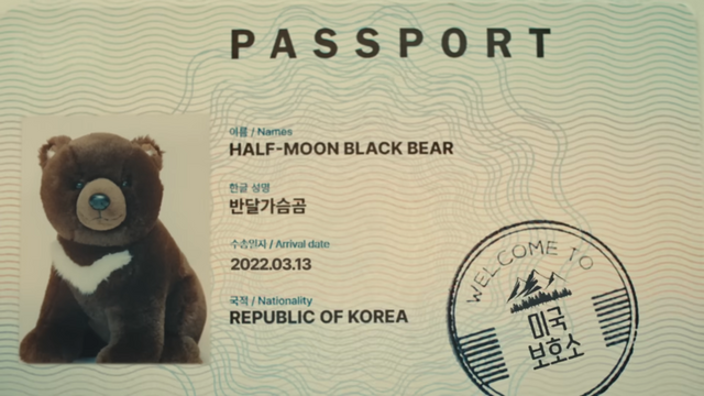 [AP신문 광고평론 No.889]&nbsp;반달가슴곰의 여권에 도장을 찍는다. 사진 아시아나항공 유튜브 캡처 ⓒAP신문(AP뉴스)
