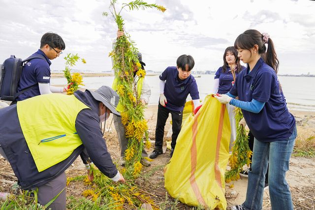 ©AP신문(AP뉴스)/ 이미지 제공 = HS효성 ▲HS효성첨단소재는 지난 29일 충청남도 서천군 유부도에서 생태계 교란 식물 제거 활동과 해양 쓰레기 수거 등 환경보전 활동을 진행했다.