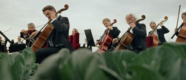 르가닉 오케스트라(The Organic Orchestra) Lidl Sveridge, Garbergs, 사진 유튜브 캡처