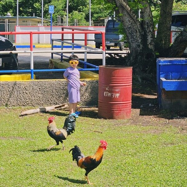 사진=OVNI #17 레이블