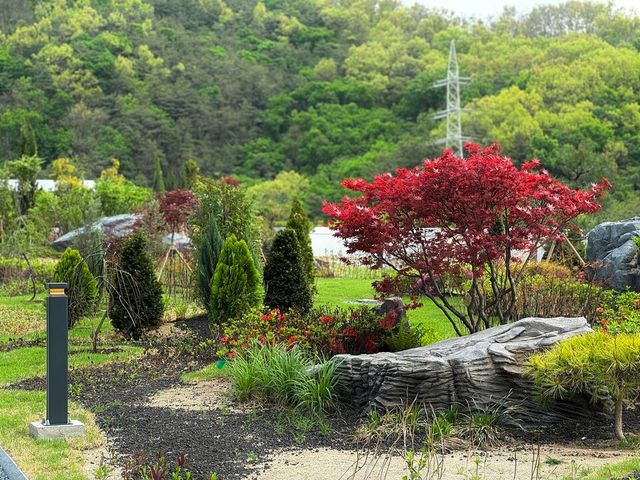 ©AP신문(AP뉴스)/이미지 제공 = 현대엔지니어링 ▲‘힐스테이트 향동’ 옥상에 조성된 암석원.