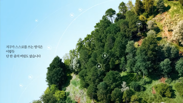 [AP신문 광고평론 No.1438]&nbsp; ​​​​​​​울창한 숲의 모습. 사진 한화TV 유튜브 캡처ⓒAP신문(AP뉴스)