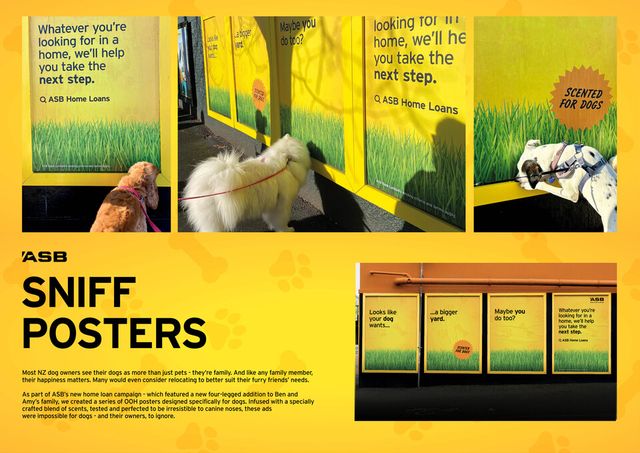 ASB, The Monkeys Aotearoa, bestadsontv