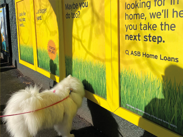 ASB, The Monkeys Aotearoa, bestadsontv